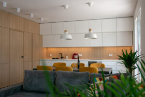 kuhinja iz dnevne sobe